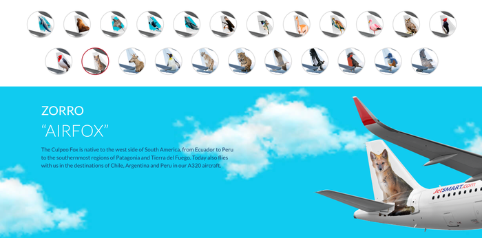 JetSMART livery information JetSMART livery information
