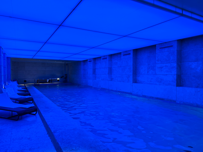 Palacio Duhau Park Hyatt Buenos Aires pool
