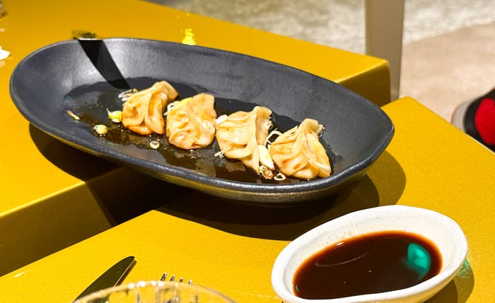 W Sao Paulo Brazil Marriott dumplings W Sao Paulo Brazil Marriott dumplings