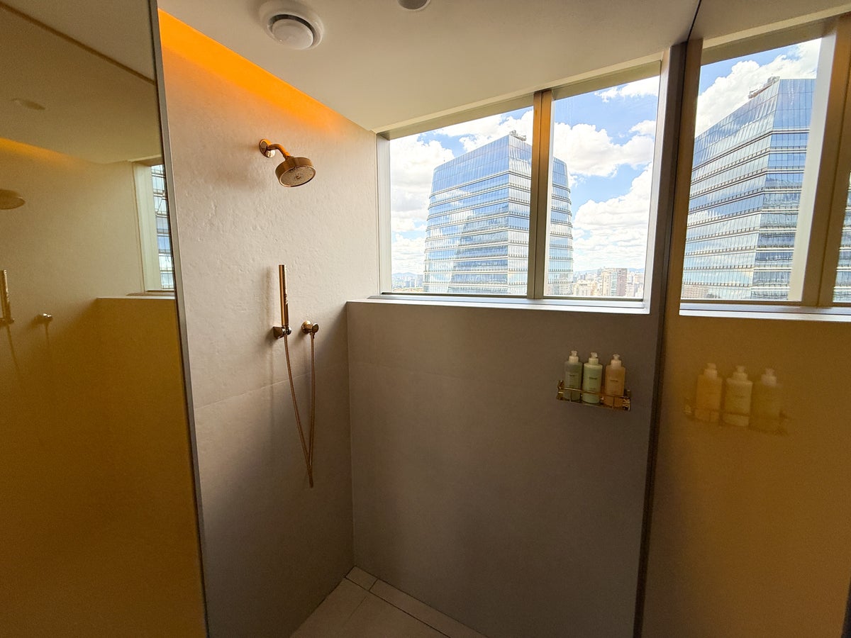 W Sao Paulo Brazil Marriott shower window