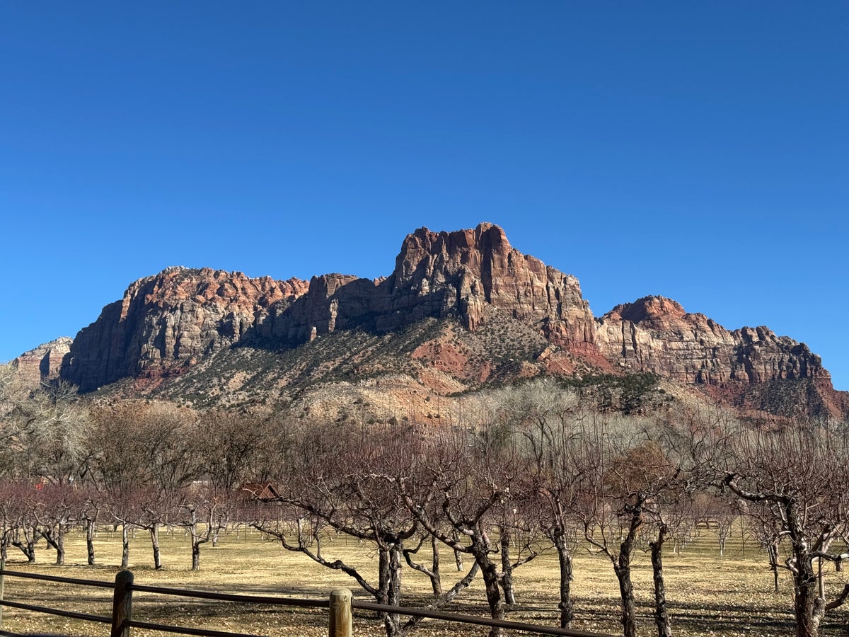 Zion National Park