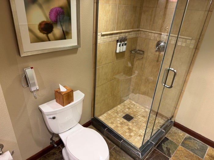 Everline Resort Spa Destination Hyatt Fireplace Suite Valley View bathroom shower toilet Everline Resort Spa Destination Hyatt Fireplace Suite Valley View bathroom shower toilet