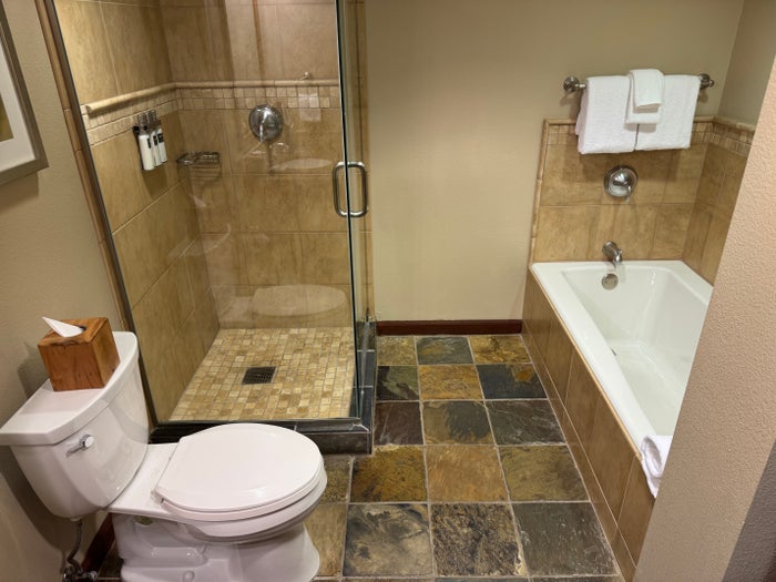 Everline Resort Spa Destination Hyatt Fireplace Suite Valley View bathroom shower tub toilet Everline Resort Spa Destination Hyatt Fireplace Suite Valley View bathroom shower tub toilet
