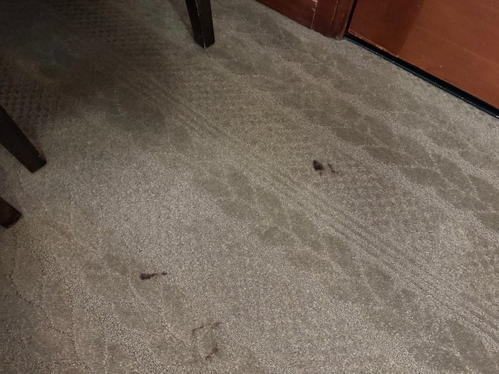 Everline Resort Spa Destination Hyatt living room carpet stains Everline Resort Spa Destination Hyatt living room carpet stains