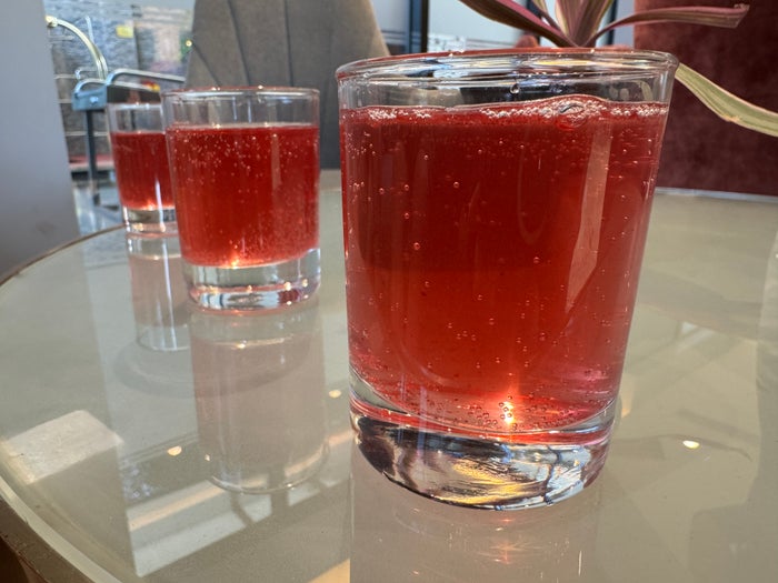 Hyatt Place Goa Candolim kokum juice