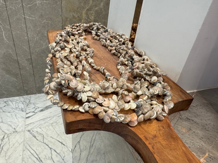 Hyatt Place Goa Candolim welcome shells