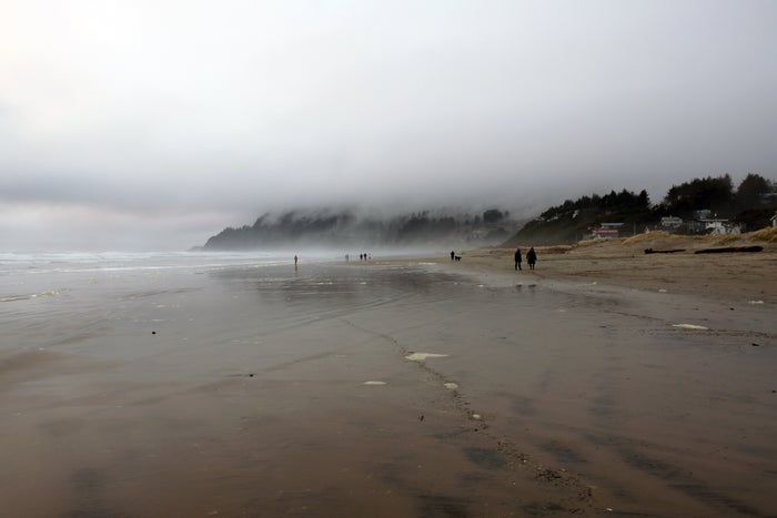 The 15 Best Beaches in Oregon in 2025 [With Detailed Map]