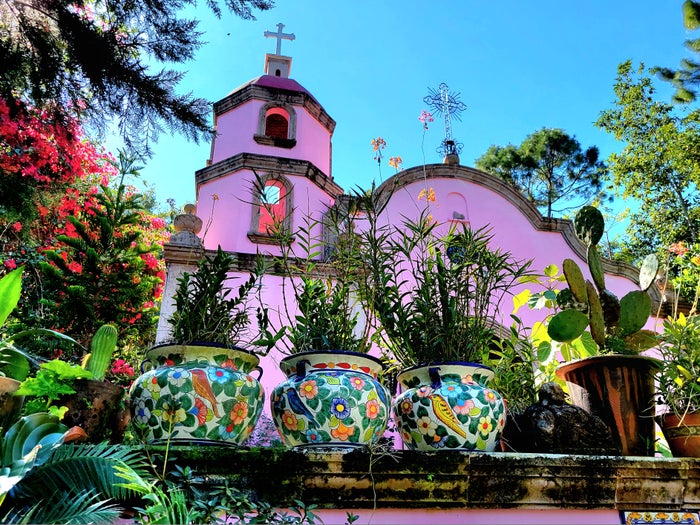 Puerto Vallarta Botanical Garden