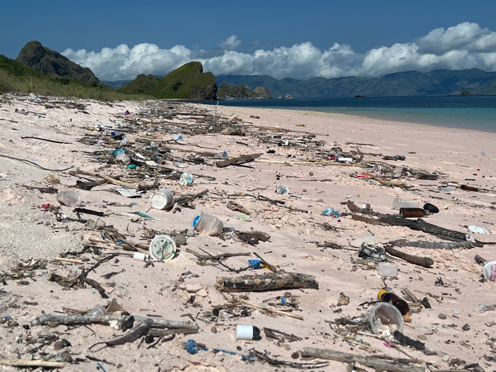 Trash on Pink Beach in Komodo National Park Indonesia