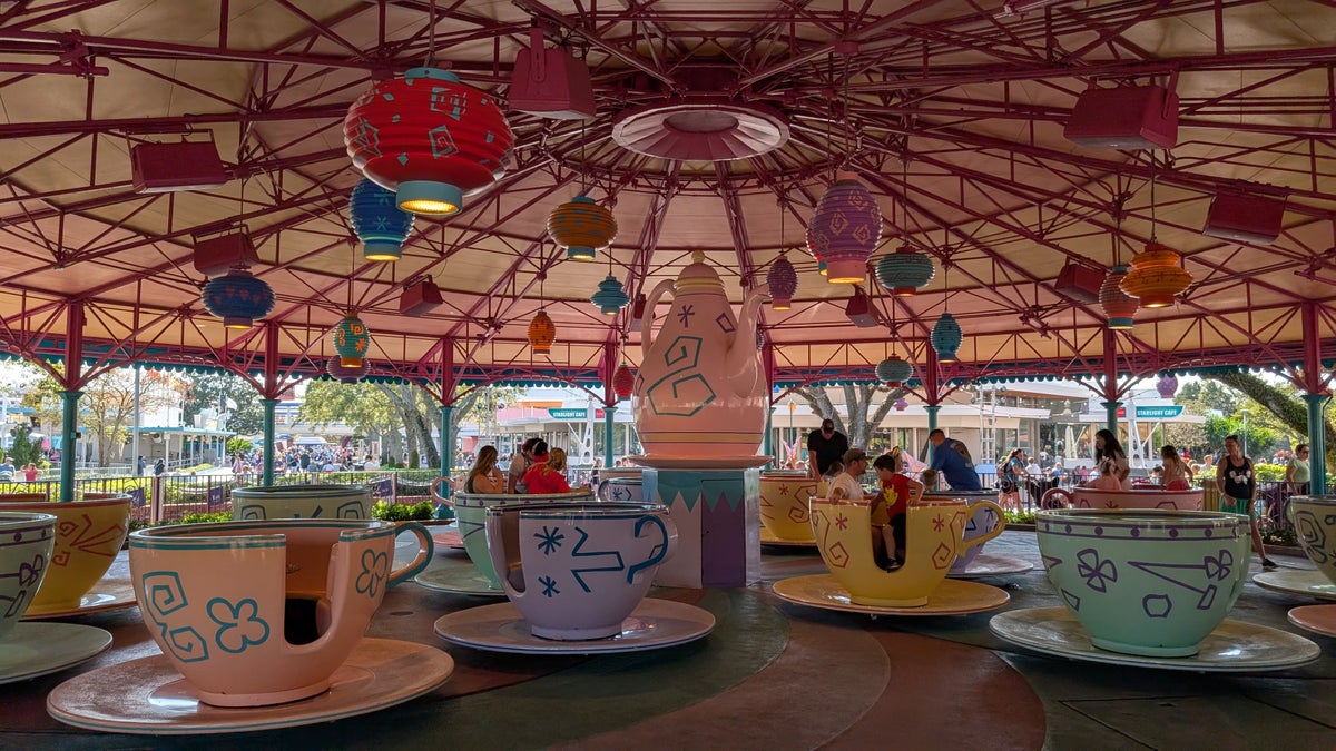 Walt Disney World Accessibility for Plus-Size Riders: What You Need To Know