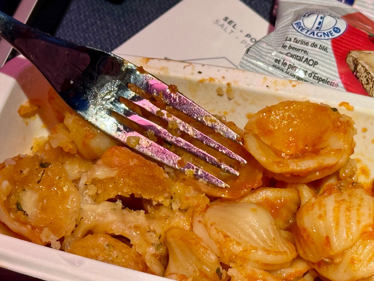 Air France Boeing 777 300 premium economy greasy pasta dish