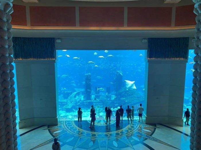 Aquarium at Atlantis Dubai Aquarium at Atlantis Dubai