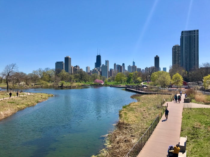 Chicago Skyline From Lincoln Park Chicago Skyline From Lincoln Park