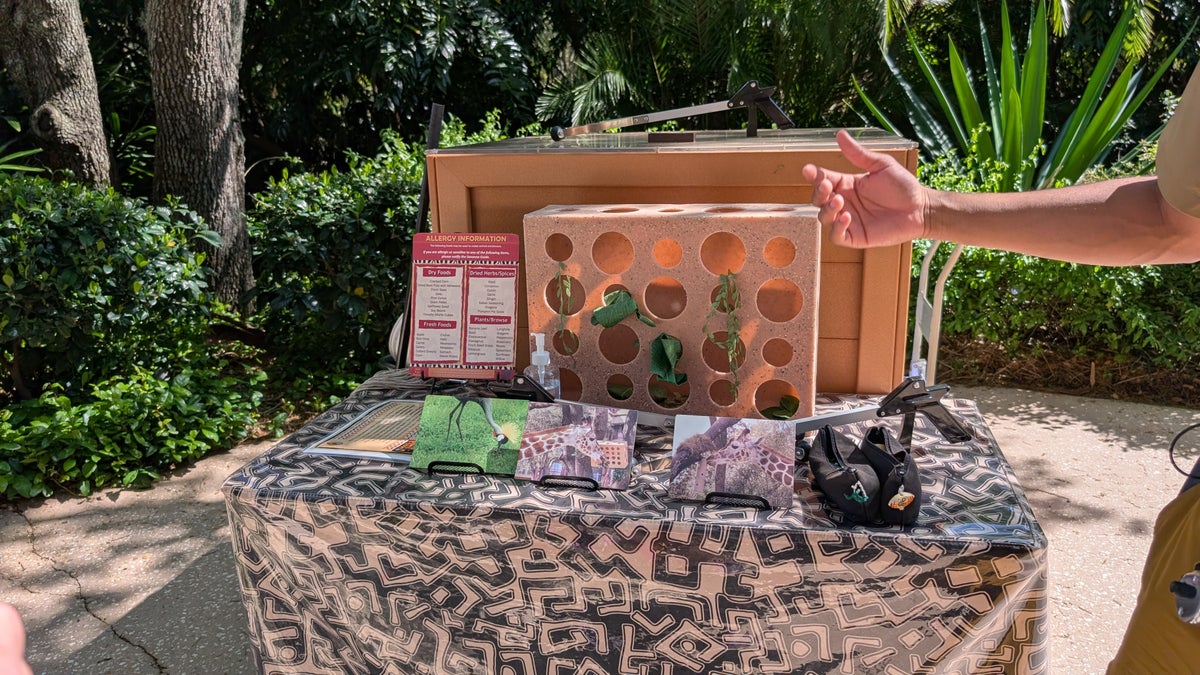 Disneys Animal Kingdom Lodge amenities activity string of memories