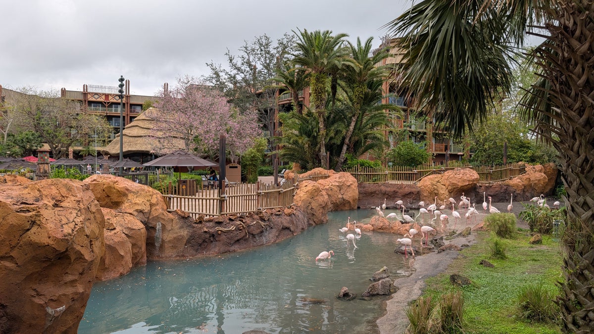 Disneys Animal Kingdom Lodge amenities savanna flamingos