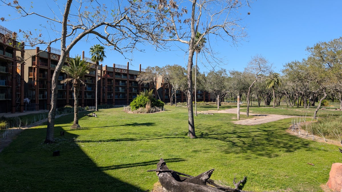 Disneys Animal Kingdom Lodge amenities savanna view