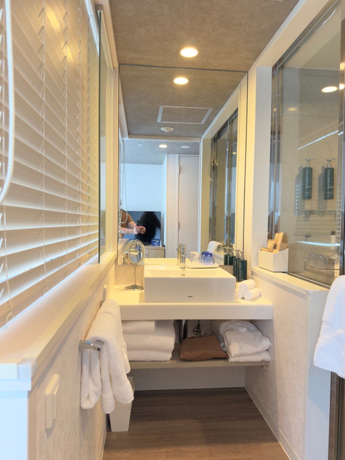 DoubleTree by Hilton Tokyo Ariake bathroom entrance