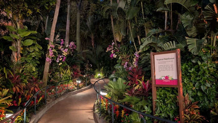 Epcot International Flower and Garden Festival Tropical Rainforest garden Epcot International Flower and Garden Festival Tropical Rainforest garden