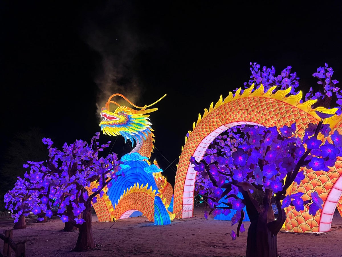 Glow in the Park at the Living Desert Zoo