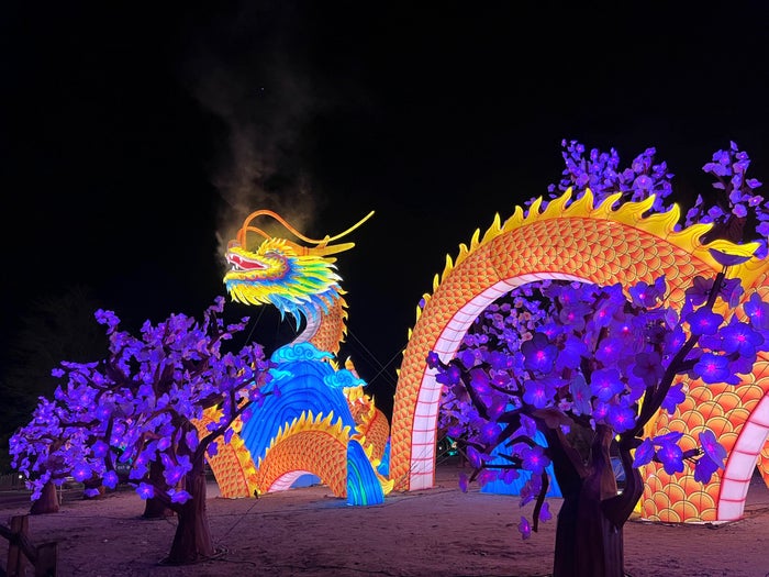 Glow in the Park at the Living Desert Zoo
