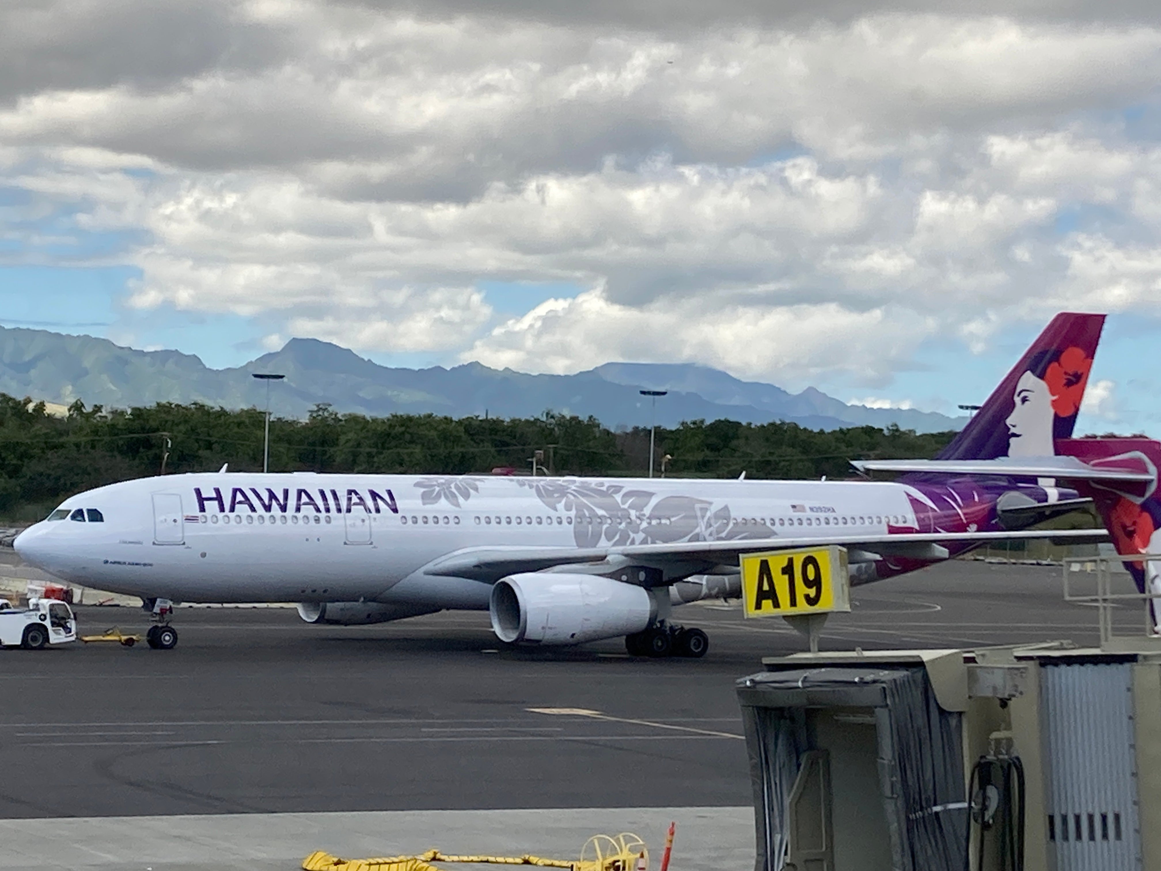 その他 Hawaiian Airlines Airbus A330-200 1:400 ScaleModelStore.com :: NG Models 1:400 - 61105 - Hawaiian