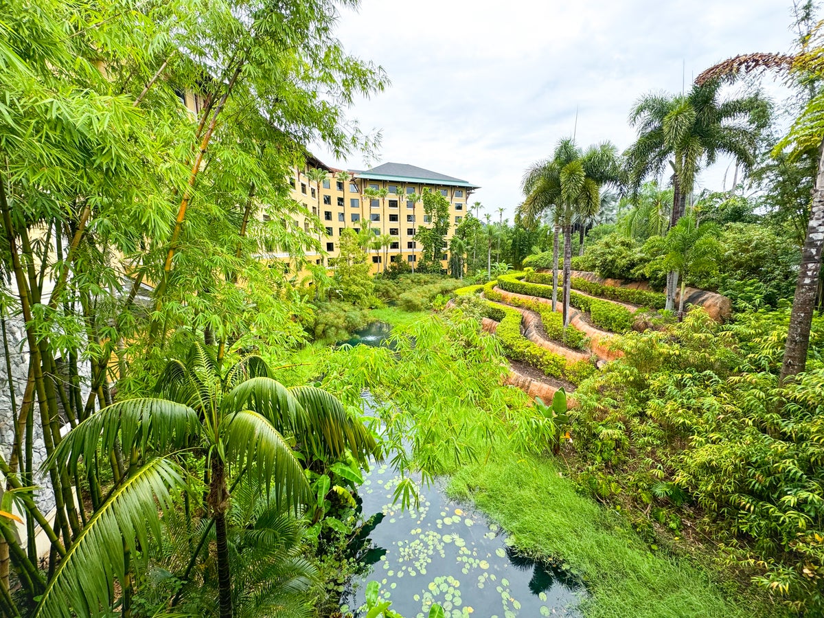 Loews Royal Pacific Hotel Universal Orlando rice fields