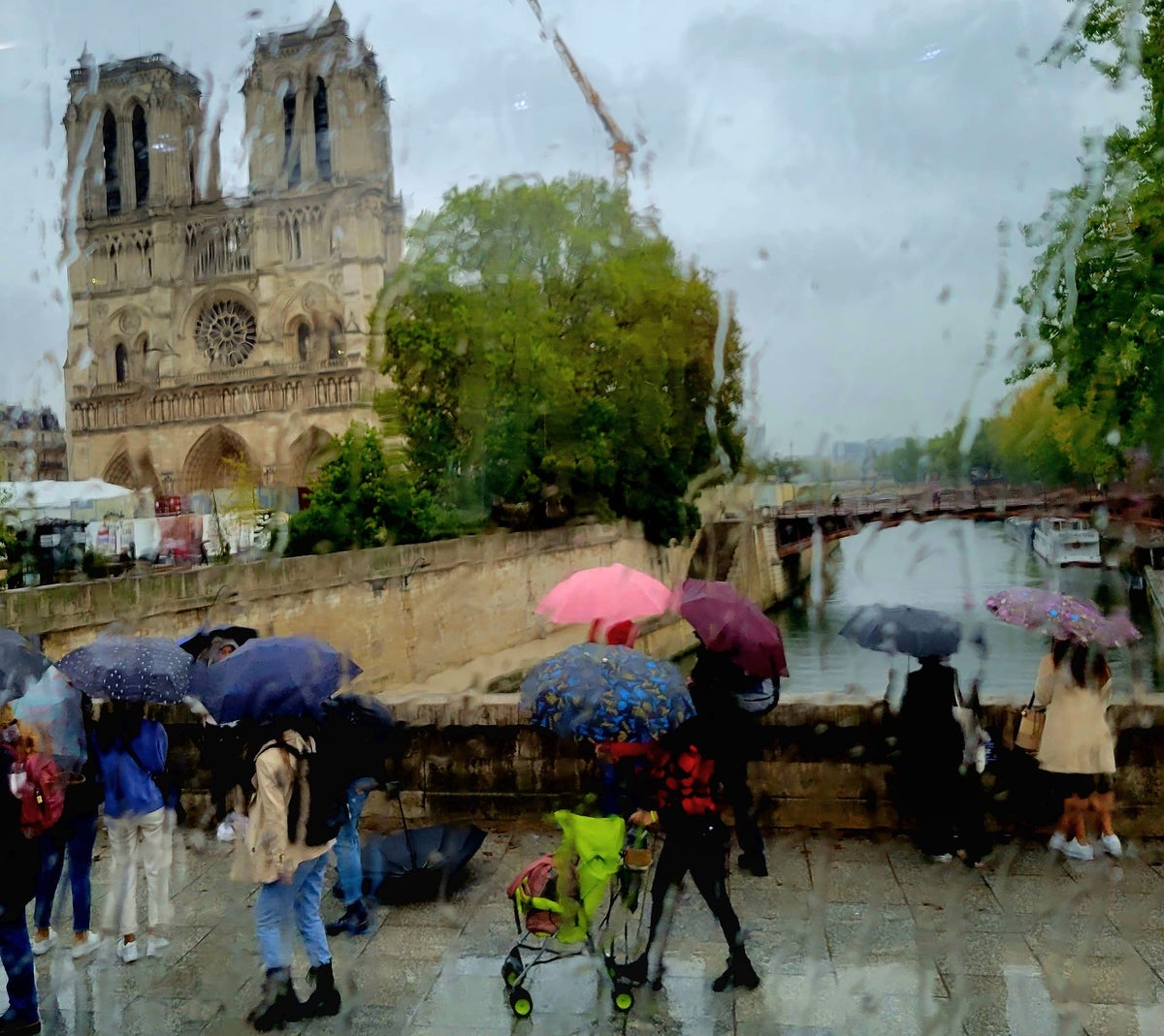 Paris Notre Dame in the Rain