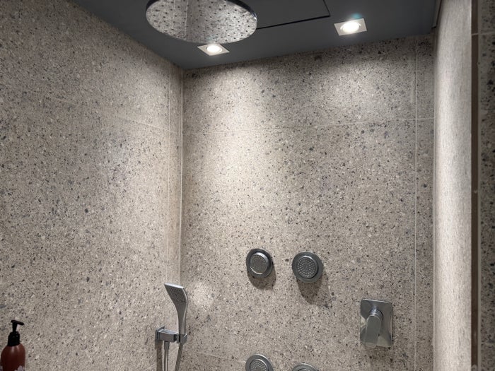Sheraton Sao Paulo WTC Hotel bathroom shower