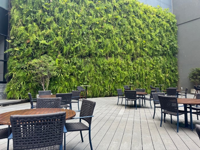 Sheraton Sao Paulo WTC Hotel pool bar green wall