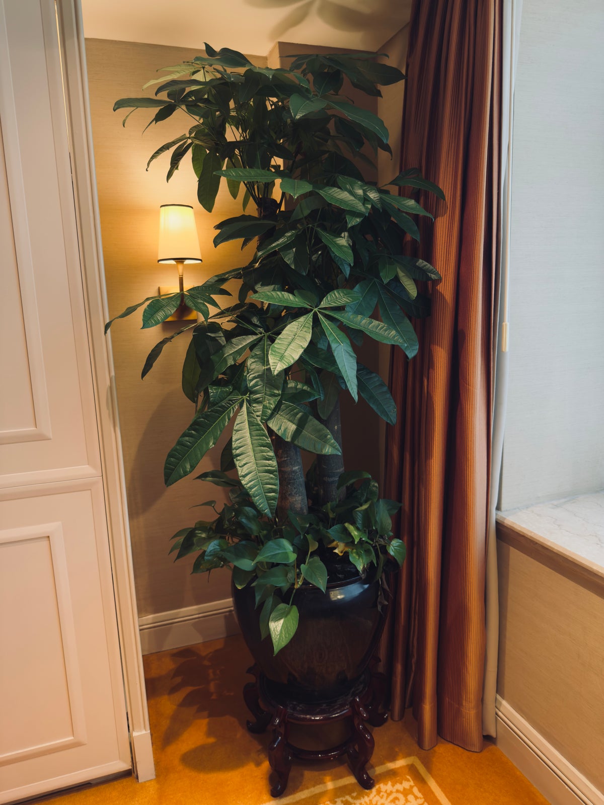 The St. Regis Beijing plant