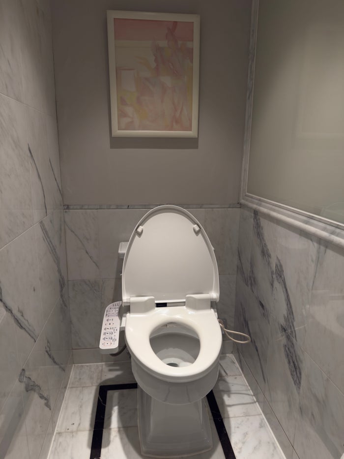 The St. Regis Beijing toilet with bidet The St. Regis Beijing toilet with bidet
