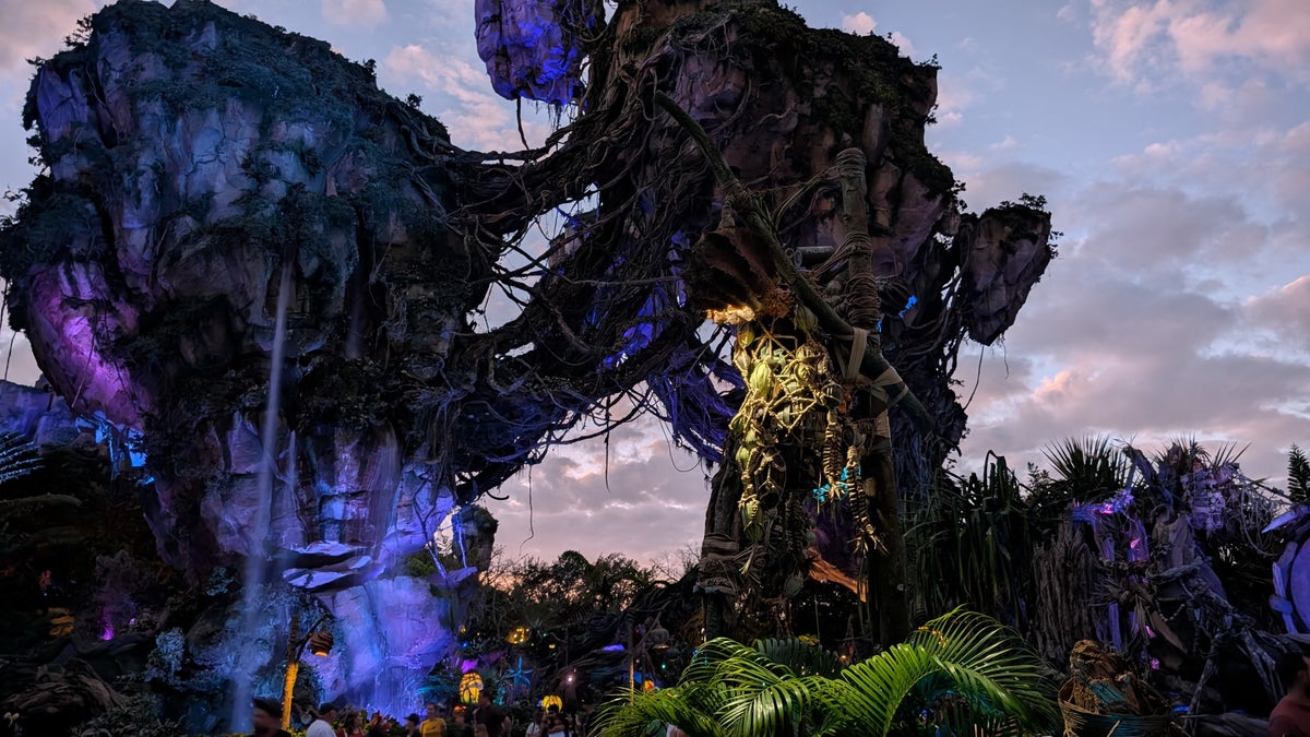 Animal Kingdom Pandora lights at night
