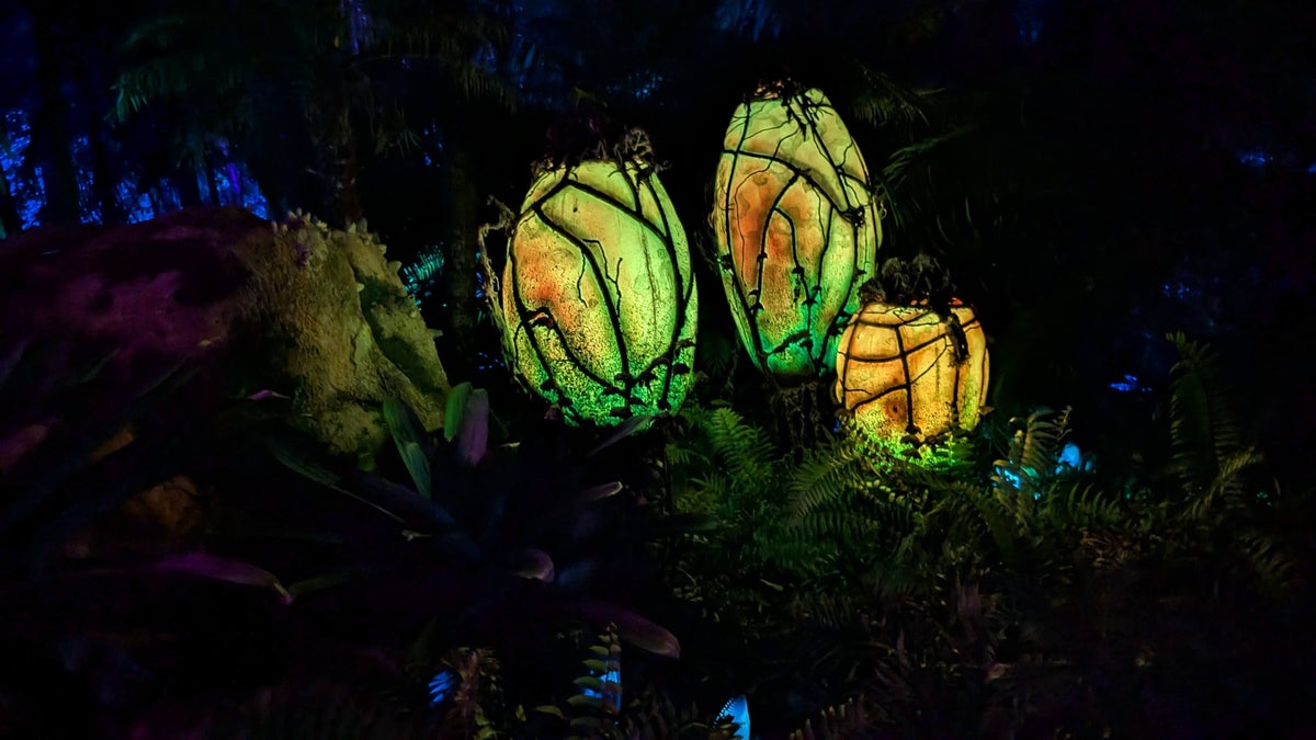 Animal Kingdom Pandora plants at night
