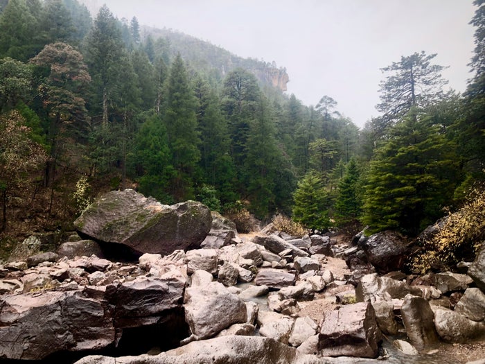 Copper Canyon Copper Canyon