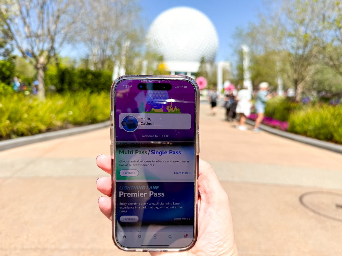 Ending Soon: Earn up to a $400 Welcome Bonus Offer on Disney Cards