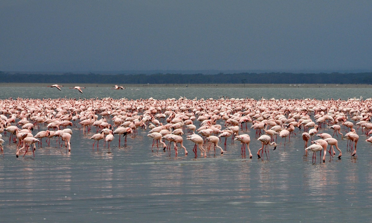 Summer Travel: Cool Off in These 30 Gorgeous Lakes Around the World