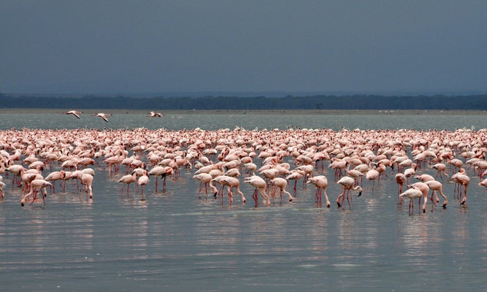 Summer Travel: Cool Off in These 30 Gorgeous Lakes Around the World