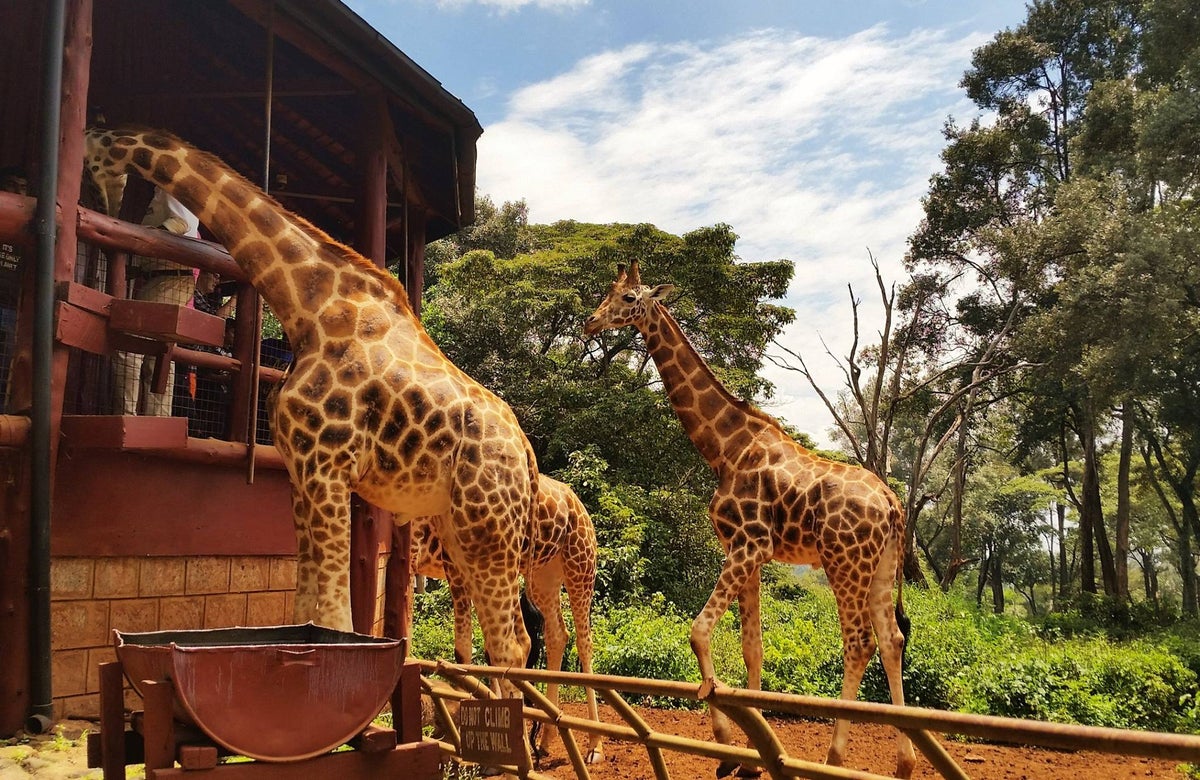 10 Reasons Why Nairobi, Kenya, Should Be Your Next Adventure