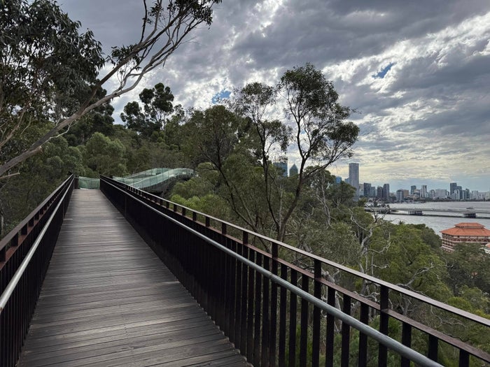 Kings Park in Perth, Australia. Kings Park in Perth, Australia.