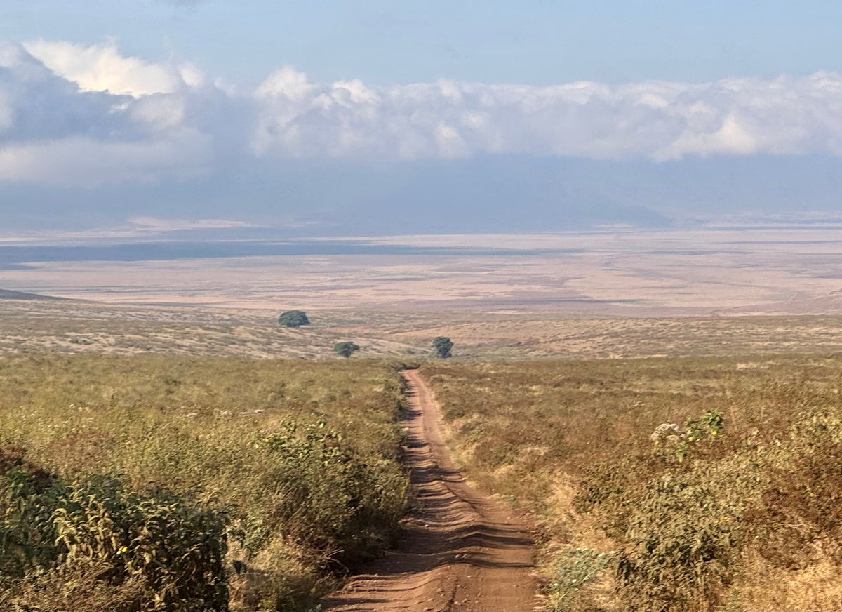 Ngorongoro Crater vastness