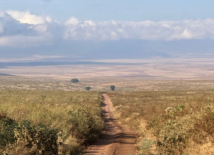 Ngorongoro Crater vastness