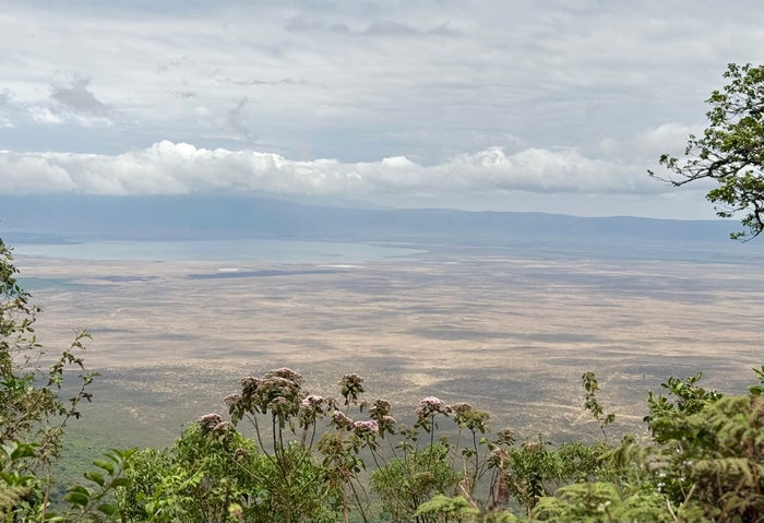 Ngorongoro Crater