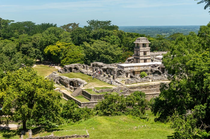 Palenque Palenque
