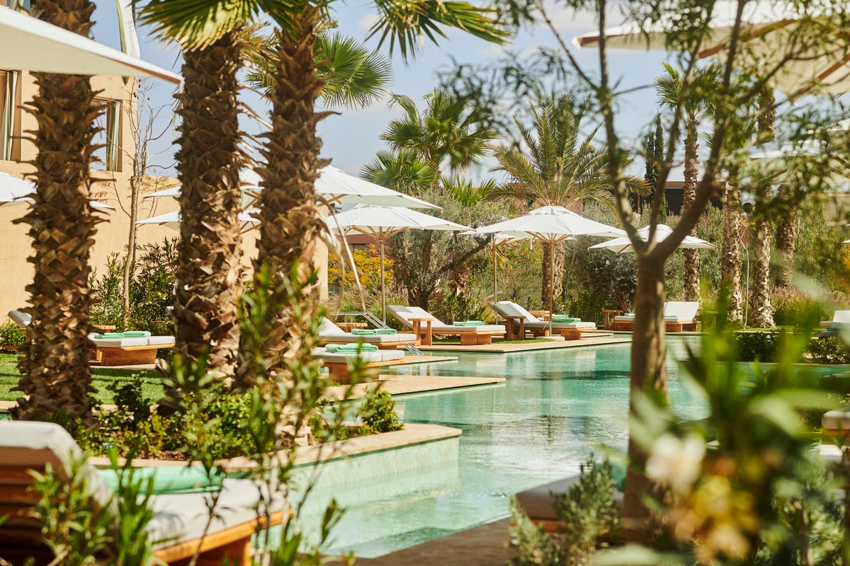 Park Hyatt Marrakech Oasis Pool Outside Vegetation