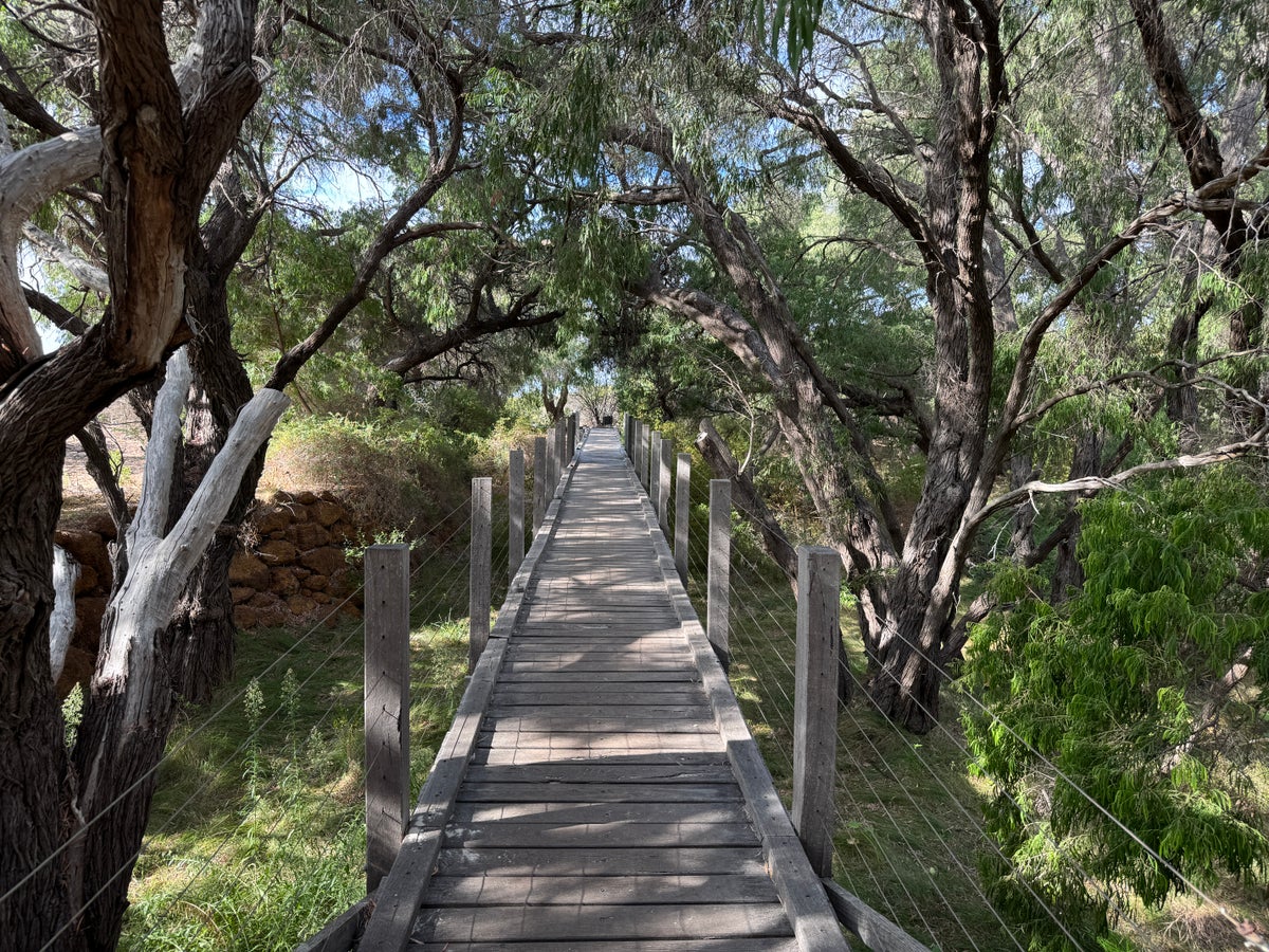Pullman Bunker Bay Resort beach path grove
