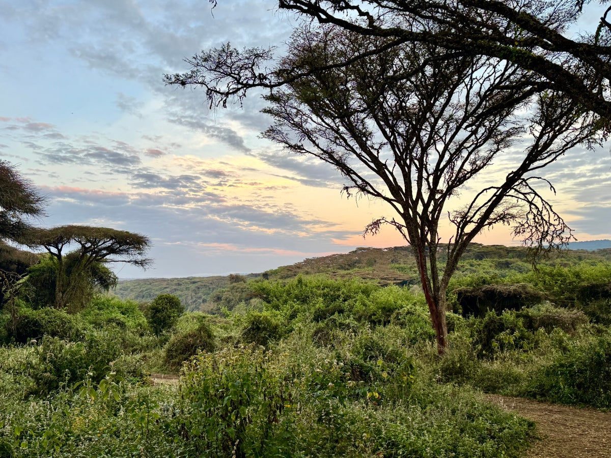 Sancturary Ngorongoro Camp dawn breaking