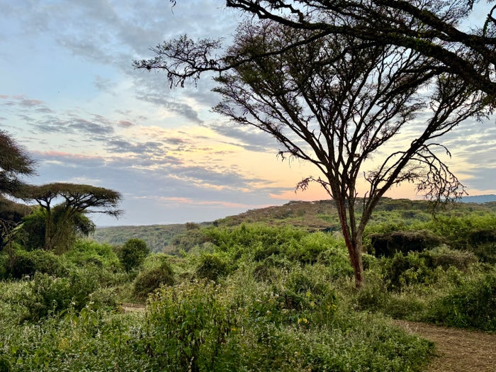 Sancturary Ngorongoro Camp dawn breaking
