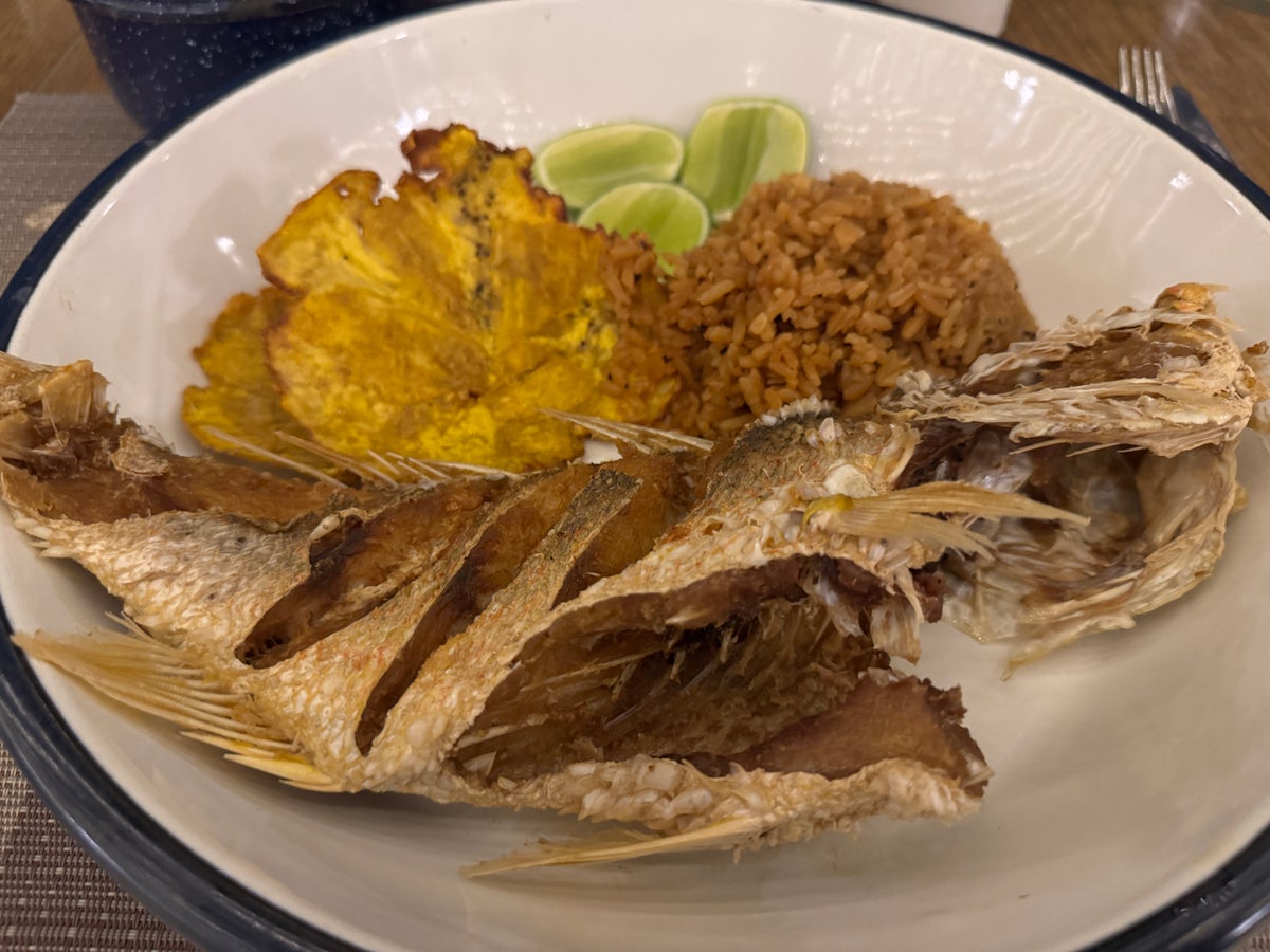 Santa Marta Marriott Snapper