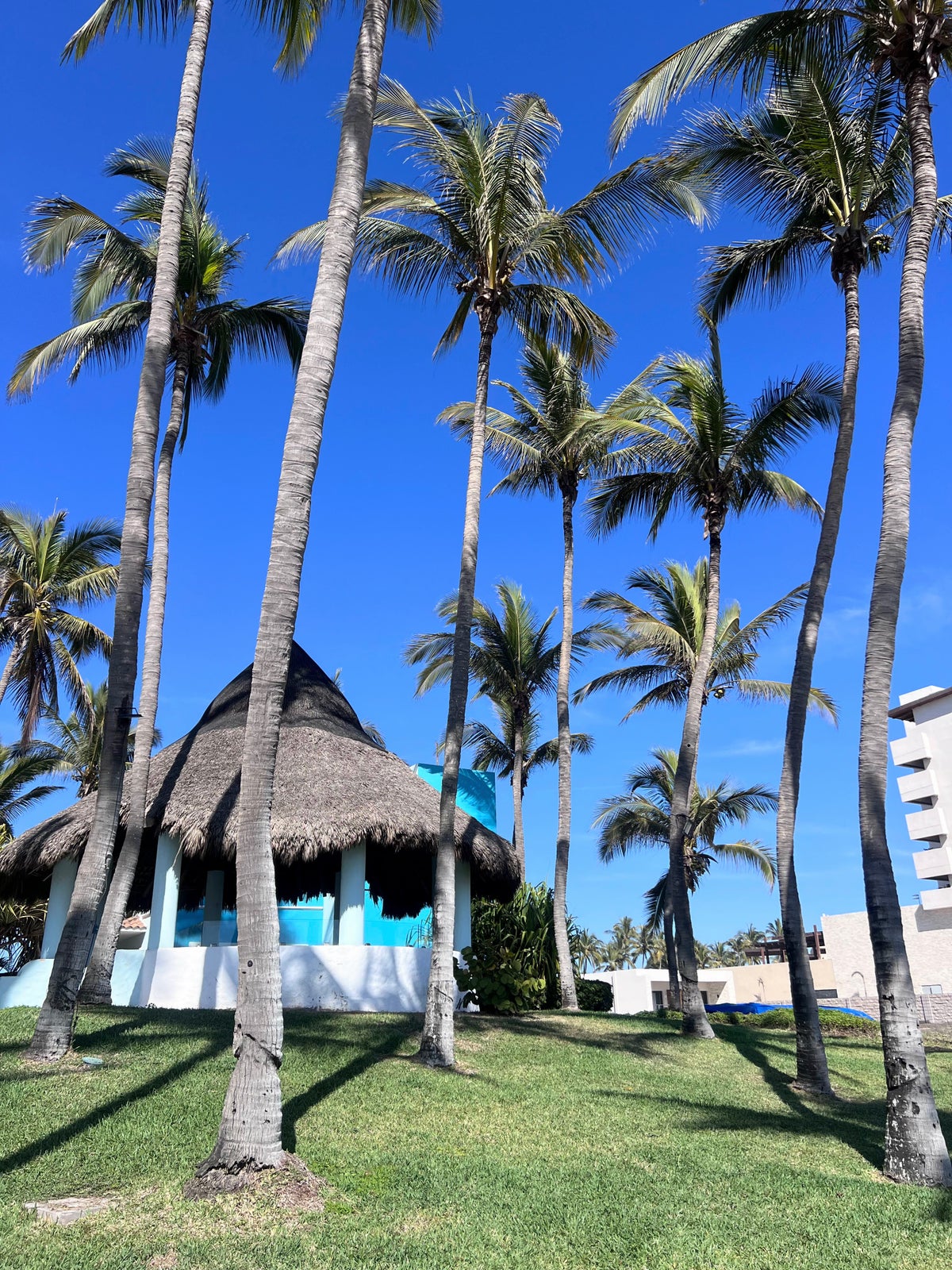 Turtle sanctuary at Dreams Mazatlan