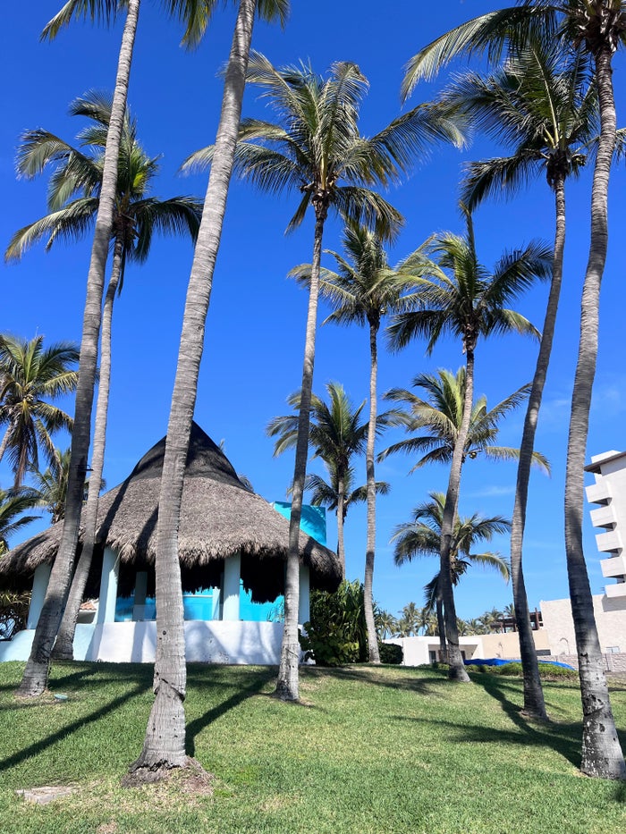 Turtle sanctuary at Dreams Mazatlan